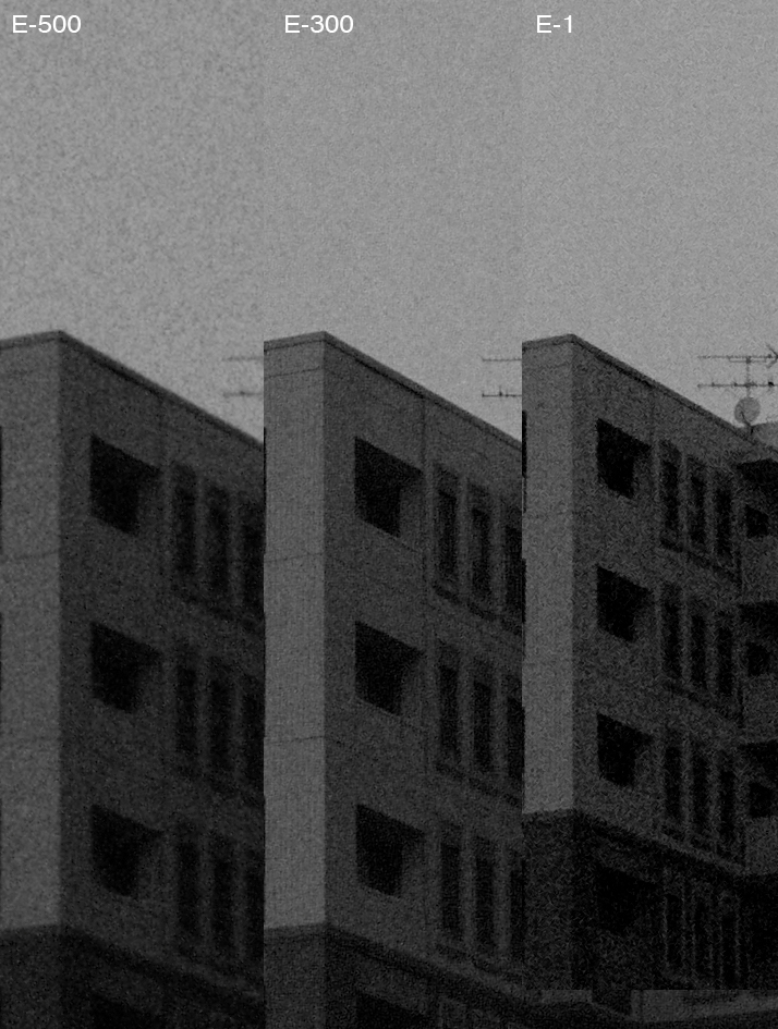 P1318598-3005001.jpg