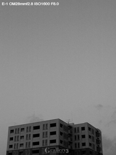 P1318603-1m.jpg