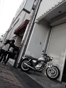 P2028662-308sm.jpg