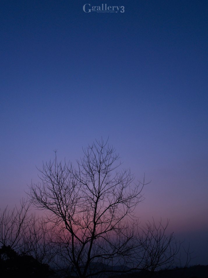 P2069056-E300-_14-54.jpg