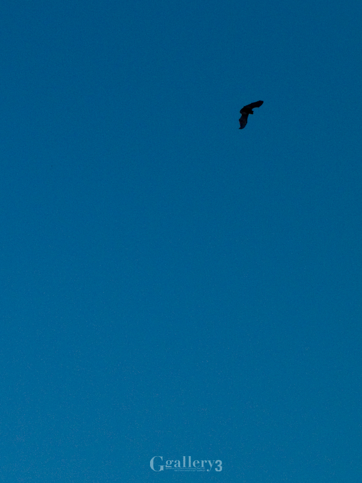 P2079204-32834.jpg