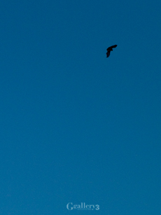 P2079204-32834m.jpg