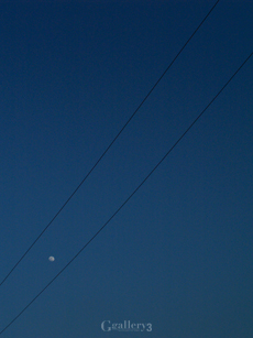 P2079212-32835m.jpg