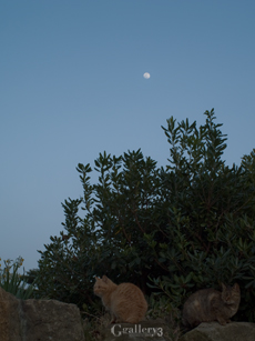 P2079217-32836m.jpg