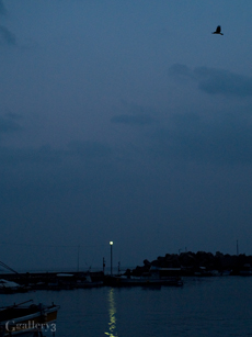 P2079286-32841m.jpg