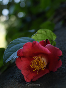 P2089315-3002828m.jpg