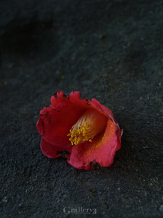 P2089317-3002828m.jpg