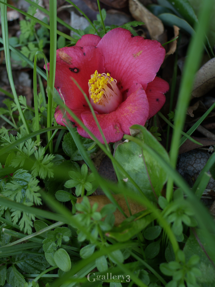 P2089330-3002828.jpg