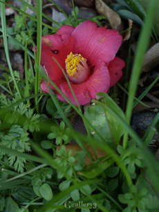 P2089330-3002828m.jpg