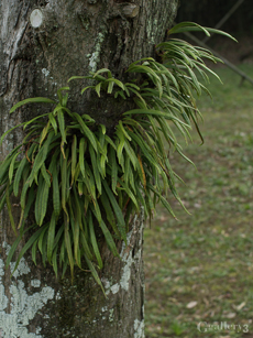 P2118715-1m.jpg