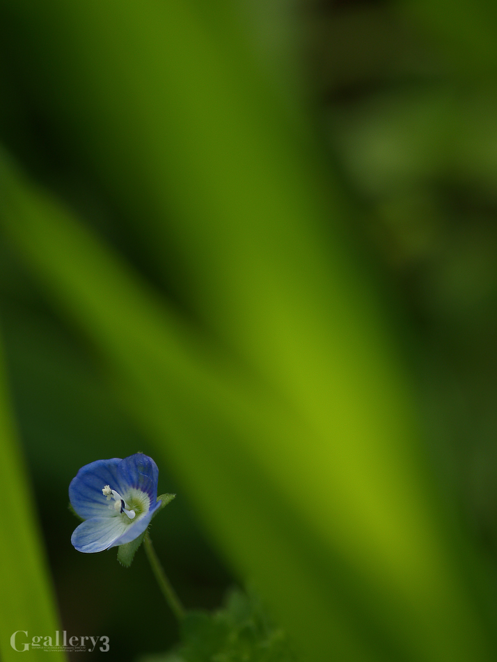 P3201332-300151.jpg