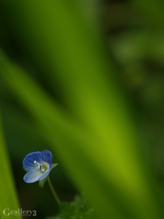P3201332-300151m.jpg