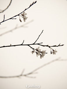 P3211521-114542_2m.jpg