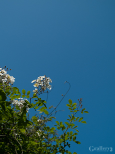 P4181954-12828m.jpg