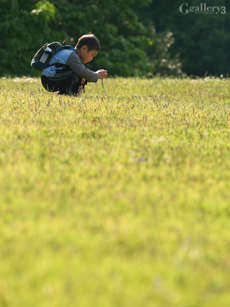 P4292365-300150m.jpg