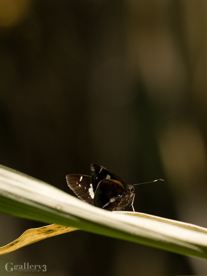 P5053571-30150.jpg