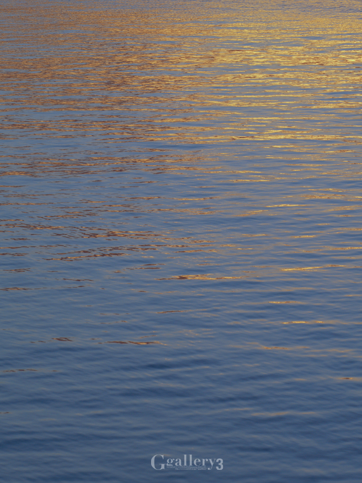 PB304328-E1-150.jpg
