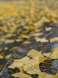 PC086258-E1_14-54m.jpg