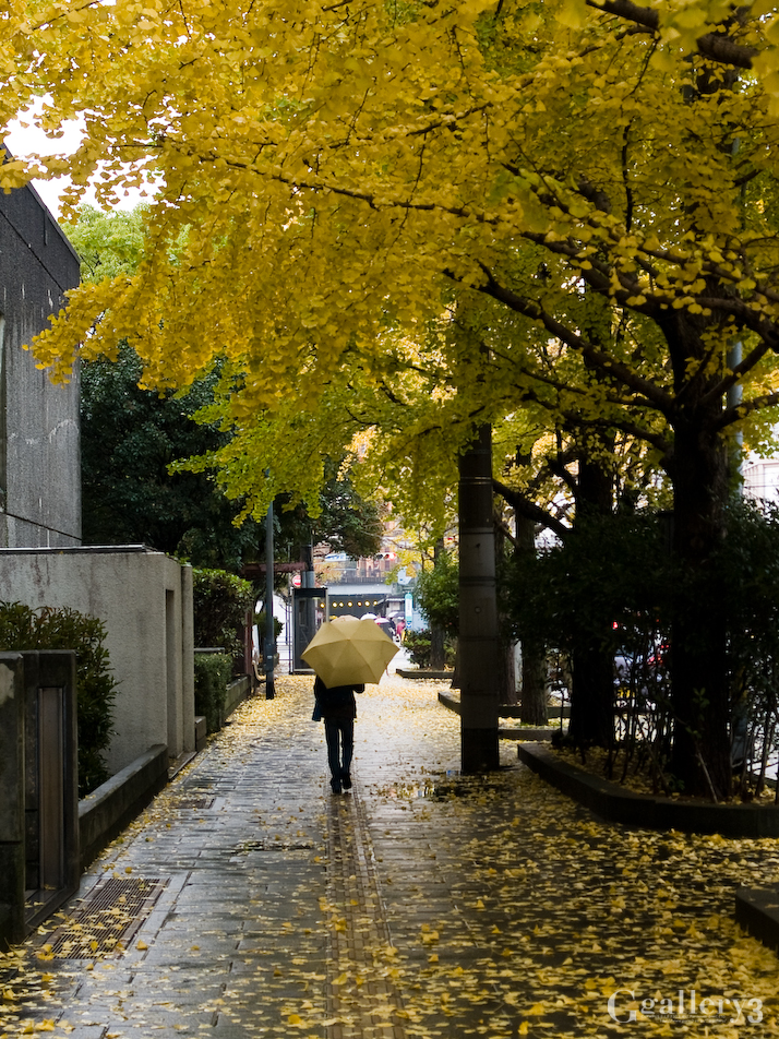 PC086264-E1_14-54.jpg