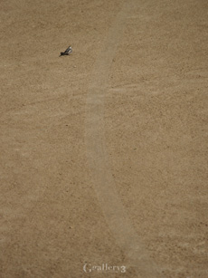 _1027354-50050200m.jpg