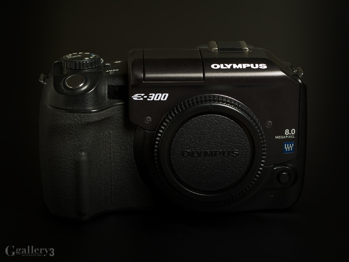 _1087409-E300.jpg