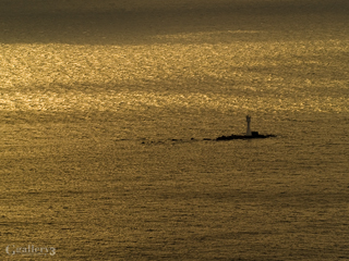 _B245873-500m.jpg
