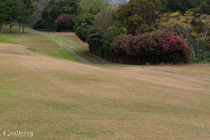 _C236841-E500-50-200.jpg