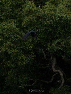 _C236853-E500-50-200-2m.jpg