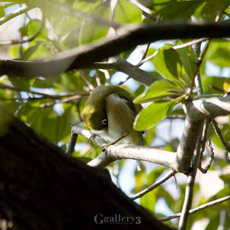 _C276881-E500-50-200-2m.jpg
