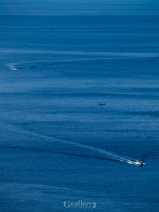 _C276902-5001m.jpg