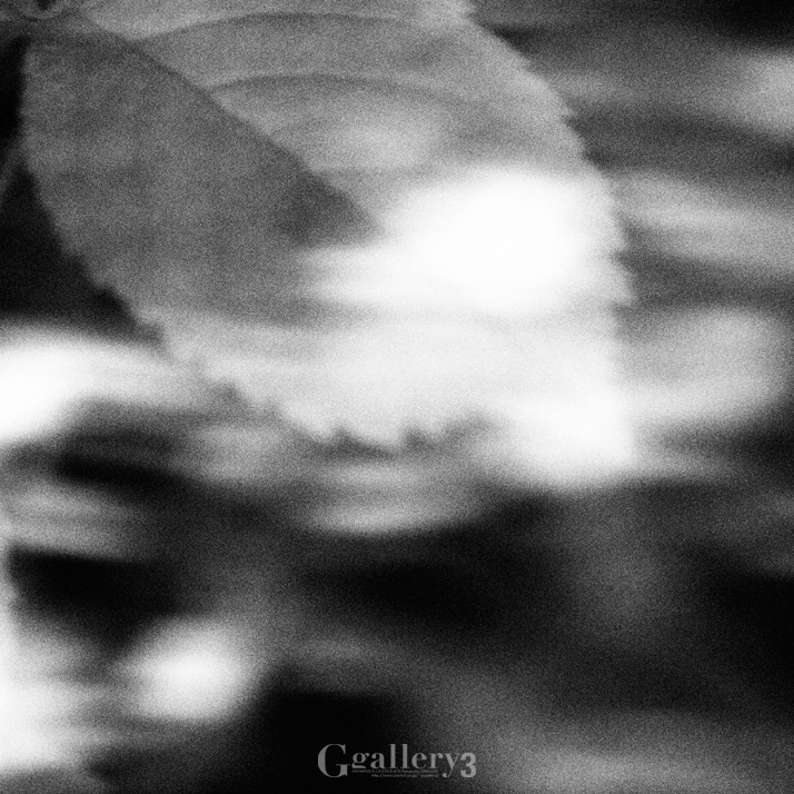 0002_40301490003.jpg