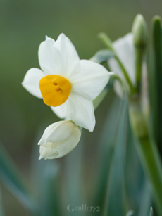 62217198-6m.jpg