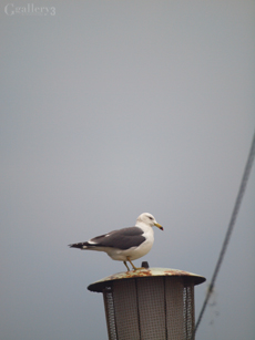 62021549_osm.jpg