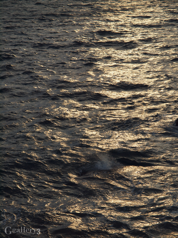 62021706_os.jpg