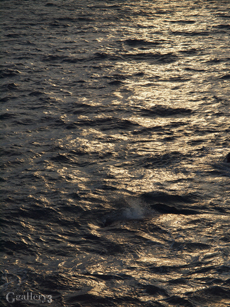62021706_osm.jpg