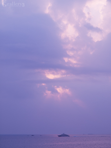 62023146m.jpg