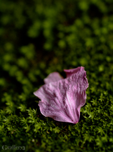 62040335-620502m.jpg