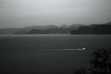 62040517-62050m.jpg