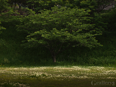 62053737-62050200m.jpg