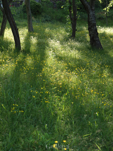 62083889-6201454m.jpg