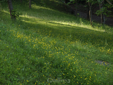 62083898-6201454m.jpg