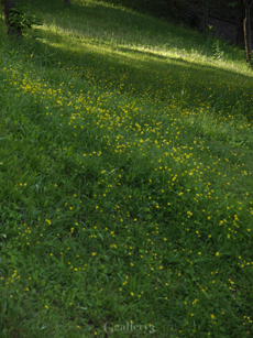 62083902-6201454m.jpg