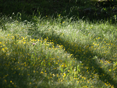 62083936-62050200m.jpg
