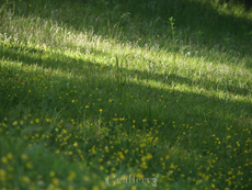 62083939-62050200m.jpg