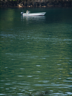 62084001-62050200m.jpg
