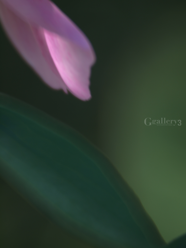 62084077-620500.jpg
