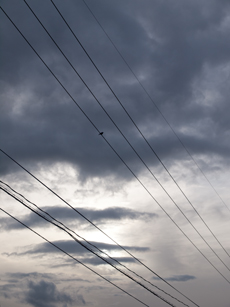 62121559-620m.jpg