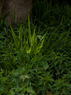 62154562-62050200m.jpg