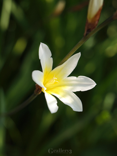 62171629-623m.jpg