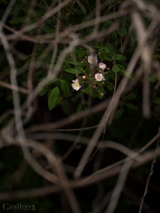 62181889-620m.jpg